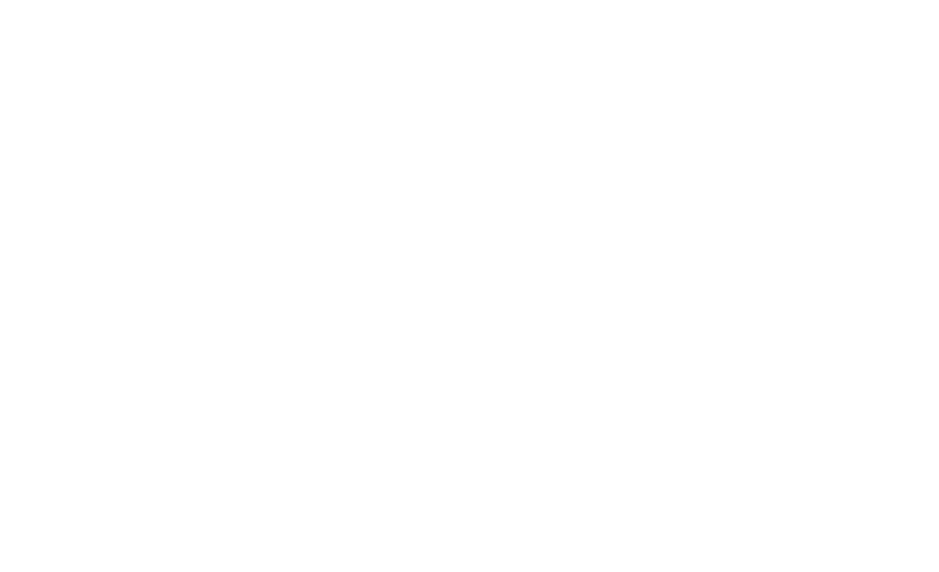 OASES – The Oasis Experience